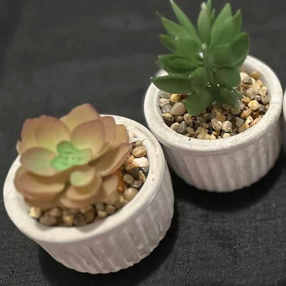 Rustic Planters w/ Succulents (Set of 4) - Picture 6 of 6